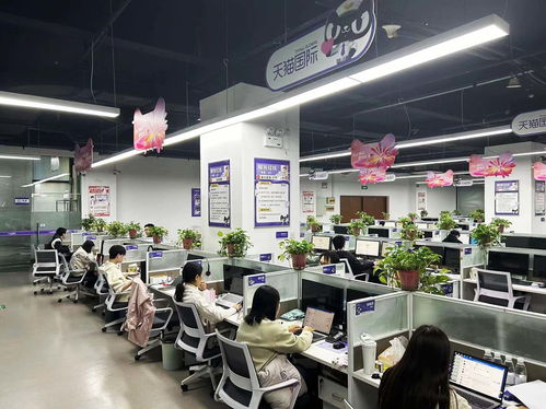 揚(yáng)州天貓國(guó)際自營(yíng)服務(wù)中心迎咨詢(xún)高峰，300名大學(xué)生支援客服工作